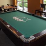 Stevenson University Pool Table